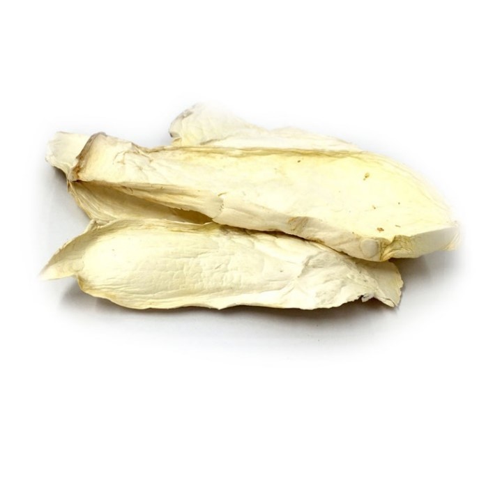 Dried king oyster mushroom slices.jpg